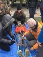 Advanced Wilderness Life Support Course, stabilizing victim