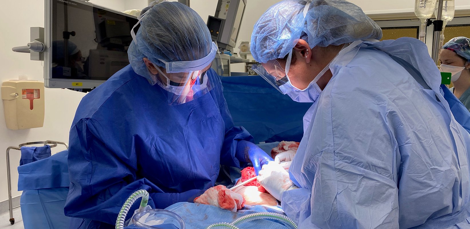 Surgical Critical Care